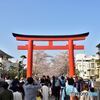 段葛　その２