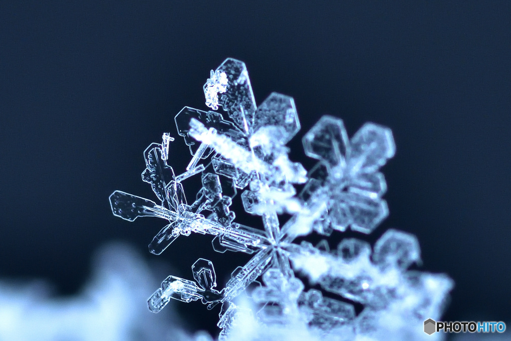 雪の日の楽しみ