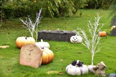 ハロウィン　その３