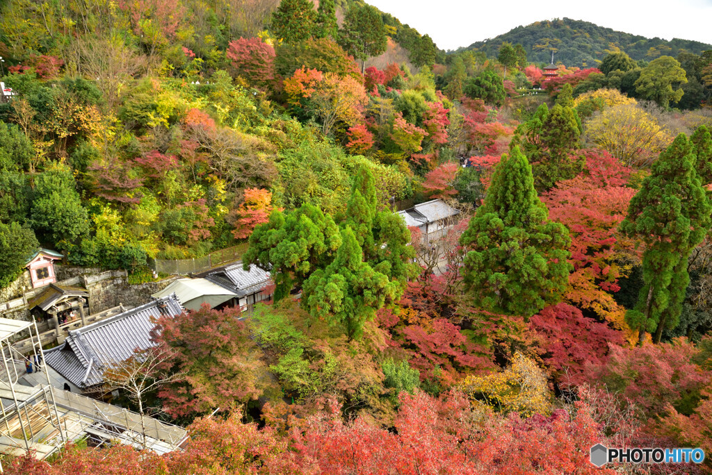京都の紅葉２０２０　その４