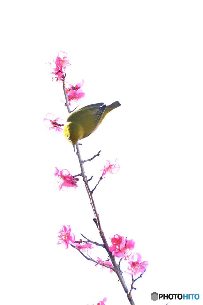 次どこ行こうかな・・