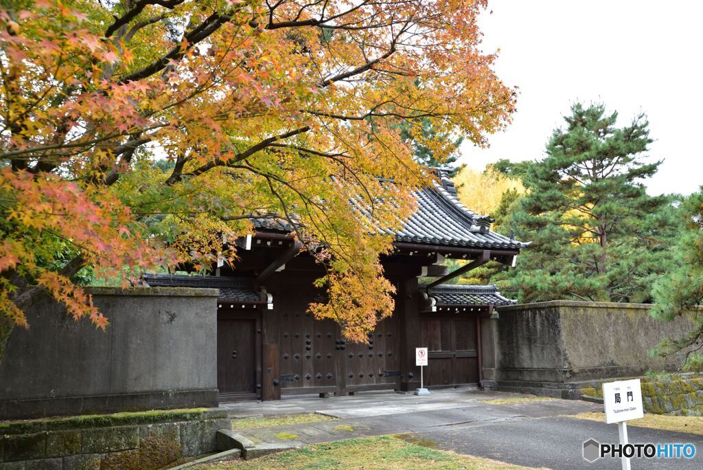 乾通り　その２