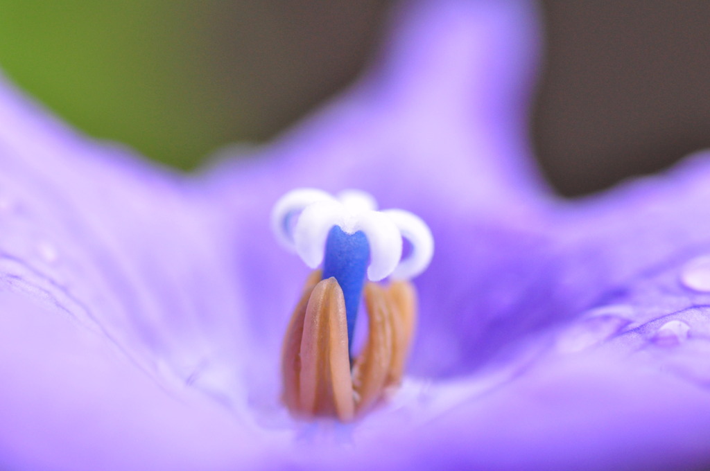 やさしく包まれて２