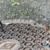鉢（蜂）合わせ