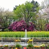 春真っ盛り