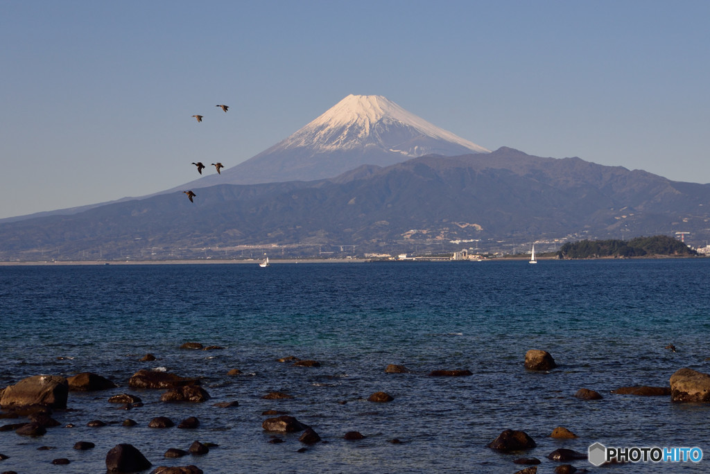 伊豆半島西海岸から望む富士山　⑤