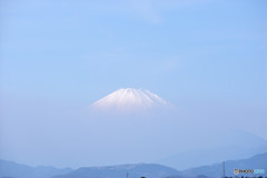春霞に浮かぶ富士