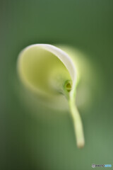 目覚め