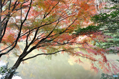 晩秋の池　その２