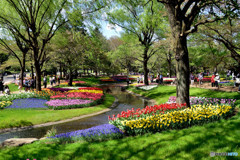 昭和記念公園
