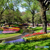 昭和記念公園