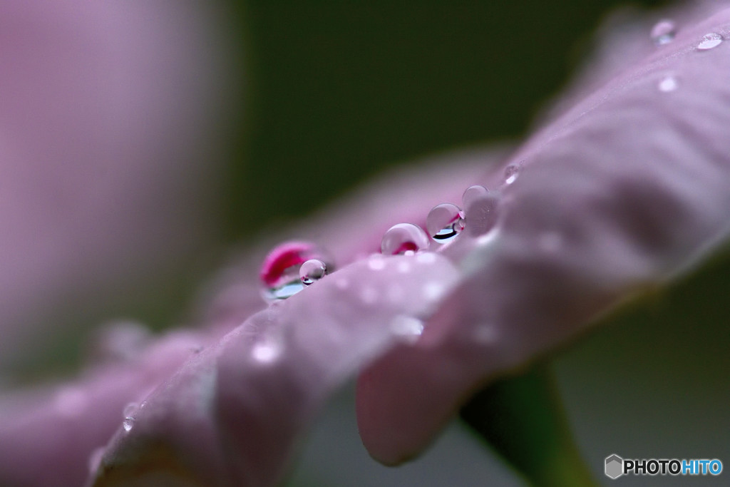 秋雨からの贈り物