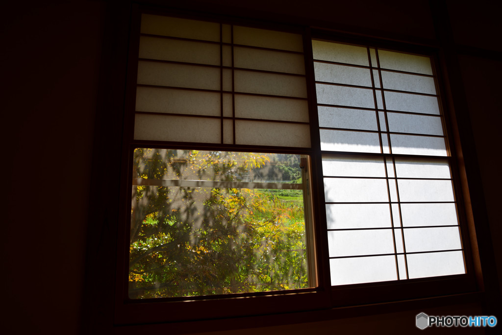 1/4（四分の一）の秋