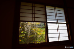 1/4（四分の一）の秋