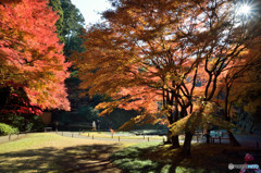 明月院　紅葉と赤地蔵