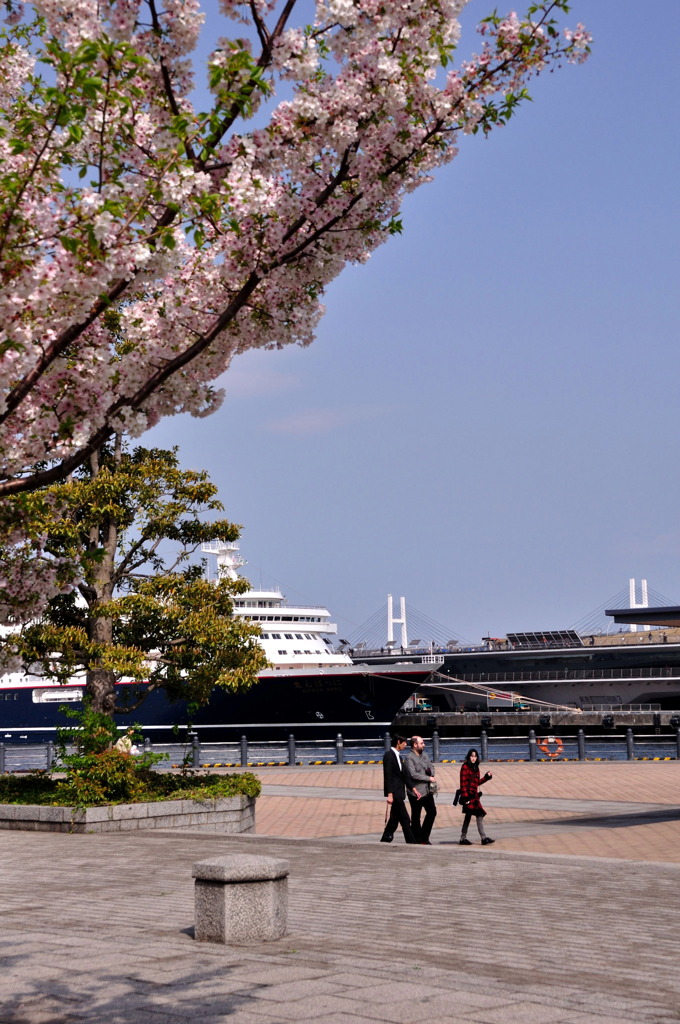 春の横浜散策　その６