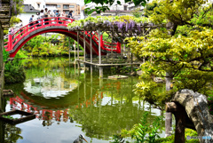 亀戸天神　その２
