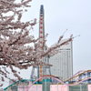 みなとみらいの桜③　観覧車