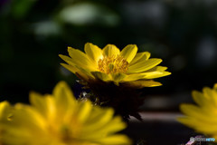 春へのプロローグ　その７