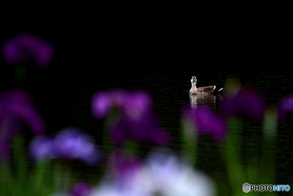 Alone