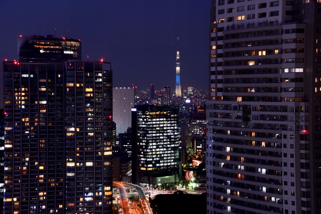 あっ　スカイツリーが曲がってる？