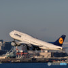 TIA（Tokyo International Airport）物語 　⑥