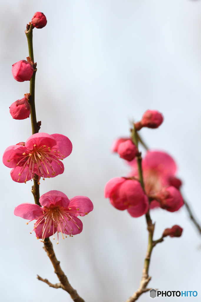 春へのプロローグ　その３