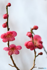 春へのプロローグ　その３