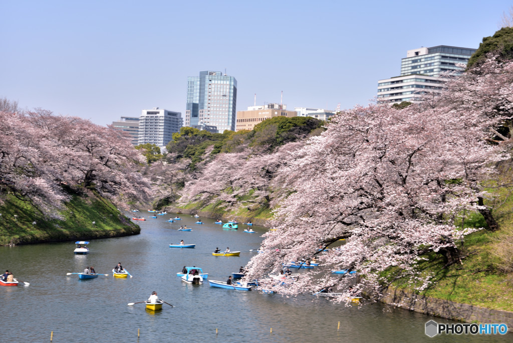 春本番