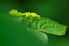 出番に向けて密かに準備中