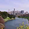 都会のオアシス