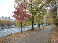 セーヌ川の紅葉