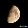 昨夜の月　月齢9.3