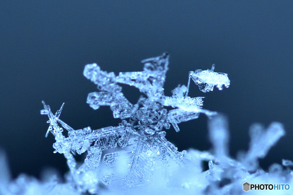 雪の日の楽しみ　その２