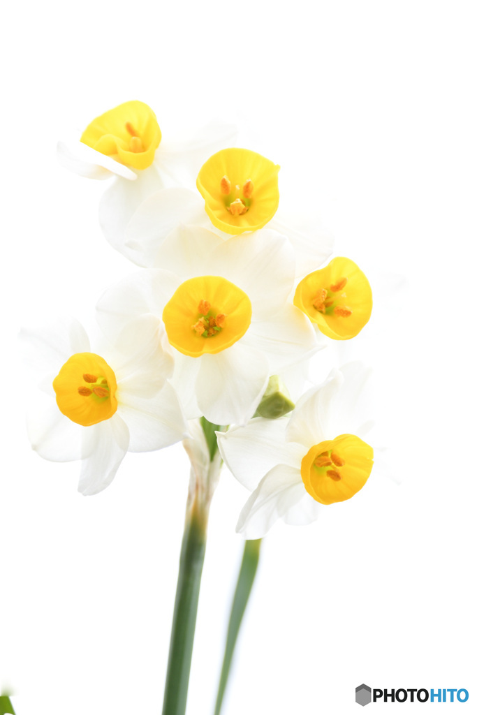 君に会いたくて　その２