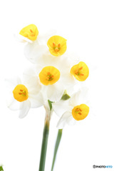 君に会いたくて　その２