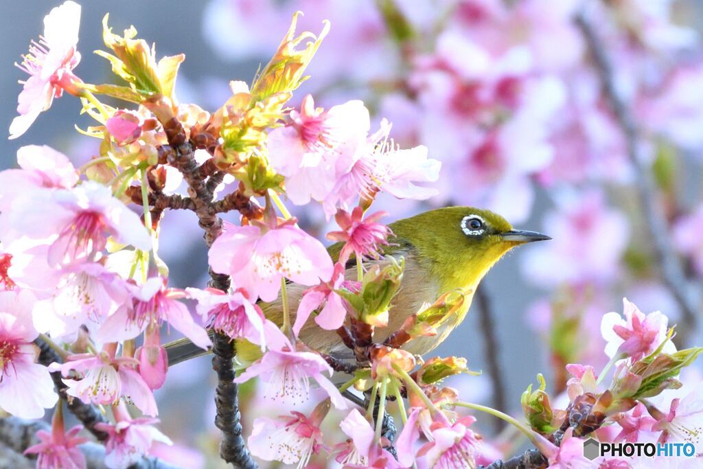 おまたせ～っ！