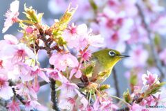 おまたせ～っ！