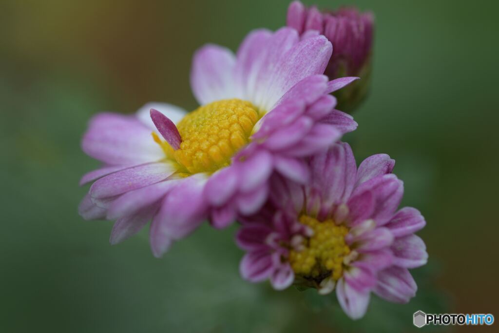 待ってたよ　その２