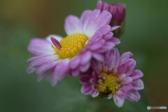 待ってたよ　その２