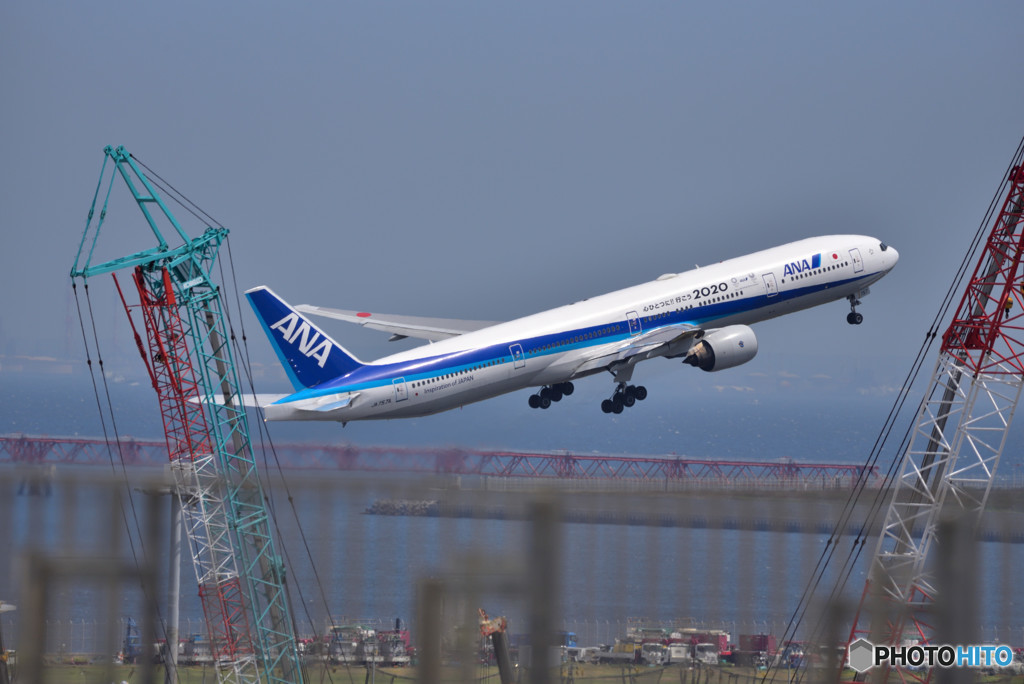 夏の羽田空港便り　⑧