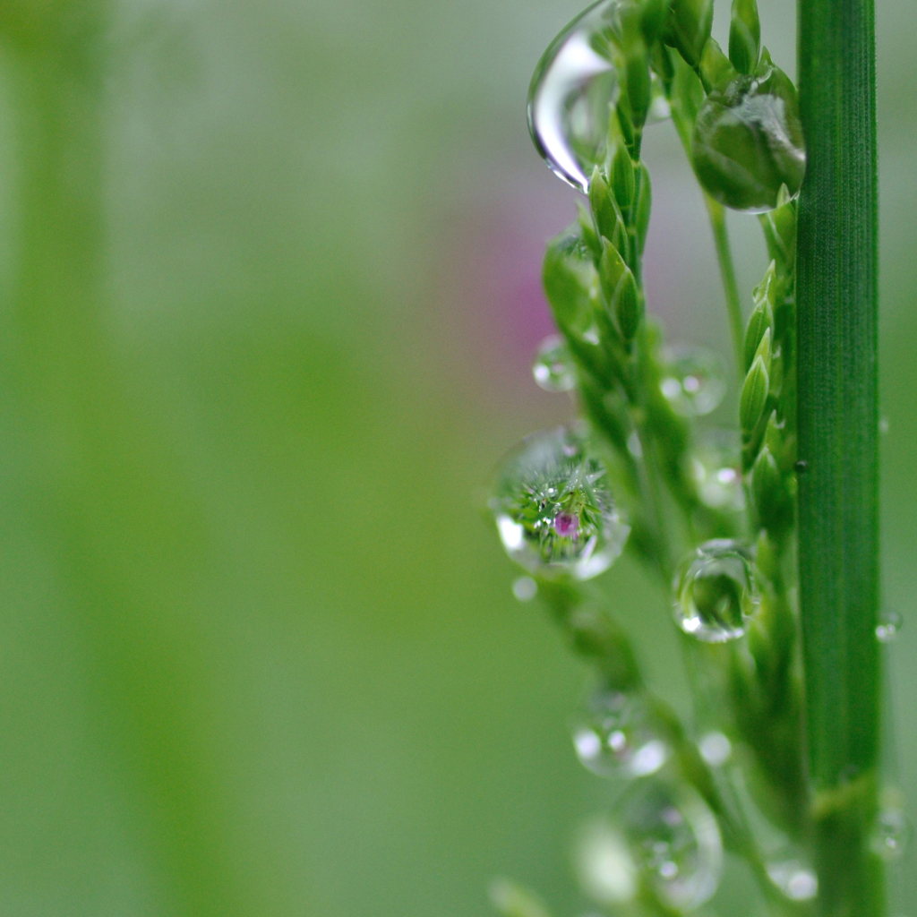 雨の止み間に