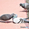 恥ずかしくて見てられない・・