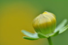 もう少し待って、綺麗になるから