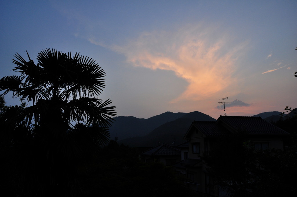 夕焼け雲と○○