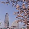 春の横浜散策　その９