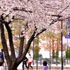 きれいだね～