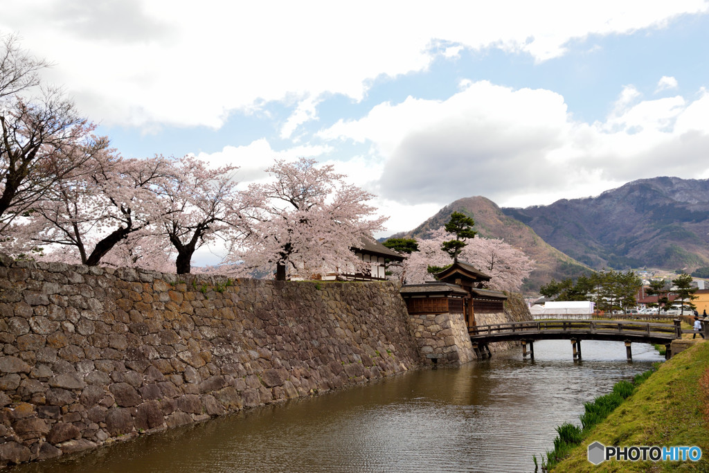 信州桜めぐり　松代城址　①