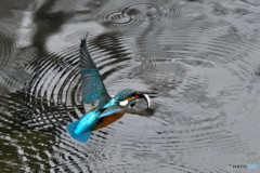 意気揚々