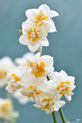 君に会いたくて